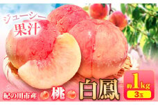 桃 白鳳 紀の川市産 約1kg(3玉入り)  紀農人株式会社《2026年6月末-8月末頃出荷》和歌山県 紀の川市 果物 フルーツ 桃 もも モモ 旬