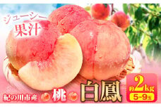【先行予約】桃 白鳳 紀の川市産 約2kg(5-9玉) 紀農人株式会社《2026年6月末-8月上旬頃出荷》和歌山県 紀の川市 果物 フルーツ 桃 もも モモ 旬