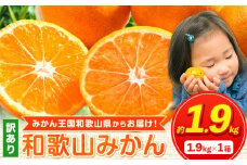 みかん ☆人気ランキング ランクイン みかん王国和歌山よりお届け！ 訳ありみかん サイズ不選別 選べる内容量 お試し!約1.9kg【先行予約】 《2025年11月中旬-1月中旬頃出荷（土日祝除く）》たっぷり ご家庭用 2L～2S 産地直送 みかん 旬 蜜柑 ミカン 柑橘 果物 フルーツ 和歌山県 紀の川市 お試し