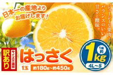 訳あり/ご家庭用 紀の川市産 はっさく お試し! 約1kg  (4L~Sサイズ サイズ不選別) 早生･晩生指定不可《2月上旬-3月中旬に出荷予定(土日祝除く)》和歌山県 紀の川市 産地直送 みかん 八朔 柑橘 果物 フルーツ ご家庭用 ビタミンC
