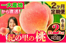 桃 もも～とろける甘さ～和歌山県産 紀の里の桃 【2ヶ月定期便】約2kg (6-8玉入り) 2回 お届け【先行予約】《6月中旬-8月中旬頃出荷》 桃 2025年 先行 桃 先行予約2025 もも2025 白鳳 日川白鳳 八旗白鳳 清水白桃 川中島白桃 つきあかり もも 白鳳 先行予約 もも川中島 もも2025 もも 白鳳 先行予約 もも 先行予約 もも 和歌山 もも