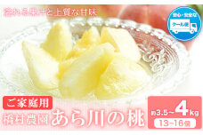 【2026年先行予約】あら川の桃 (ご家庭用) 約3.5-4kg (13-16個) 橋村農園《2026年6月下旬-8月上旬頃出荷》和歌山県 紀の川市