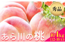 【先行予約】和歌山産あら川の桃　約4kg （12玉～16玉） 秀品 前商店《6月末-7月中旬頃出荷》 和歌山県 紀の川市