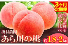 【先行予約】【 3回 定期便 】あら川の桃 約1.8kg~約2kg　旬の品種3回お届け 3回お届け 橋村農園 《2026年6月下旬-8月中旬頃出荷》 和歌山県 紀の川市