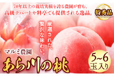 桃【予約受付】「あら川の桃」 特秀品 5~6個入 マルミ農園 《2026年6月下旬-8月下旬頃出荷》 和歌山県 紀の川市 あら川