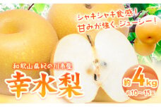 【先行予約】和歌山紀の川市産 の幸水梨 約4kg （約10玉～15玉）紀の川市厳選館 《2026年7月下旬-8月中旬頃出荷》 和歌山県 紀の川市 果物 フルーツ なし ナシ