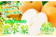 【先行予約】和歌山県紀の川市産 の豊水梨 約4kg （約9玉～13玉）紀の川市厳選館 《2026年8月中旬-9月上旬頃出荷》 和歌山県 紀の川市 果物 フルーツ なし ナシ