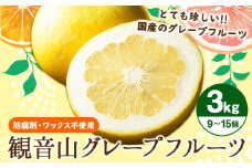 観音山グレープフルーツ 3kg 有限会社柑香園《2026年1月上旬-2月下旬頃出荷》和歌山県 紀の川市 フルーツ 果物 柑橘 グレープフルーツサンタマリア