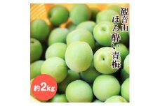 【先行予約】観音山ほろ酔い青梅 2kg 有限会社柑香園 《2026年6月上旬-6月下旬頃出荷》 和歌山県 紀の川市 梅