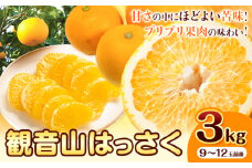 観音山はっさく 3kg (約9玉-12玉前後) 有限会社柑香園《2026年1月上旬-3月中旬頃出荷》和歌山県 紀の川市 フルーツ 果物 柑橘 はっさく 八朔