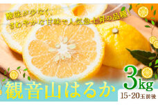 【先行予約】観音山はるか 3kg (約15玉-21玉前後) 有限会社柑香園《2026年2月上旬-2月末頃出荷》和歌山県 紀の川市 フルーツ 果物 柑橘 はるか