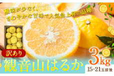 【先行予約】観音山はるか(訳あり) 3kg (約15玉-21玉前後) 有限会社柑香園【日付指定不可】《2026年2月上旬-2月末頃出荷》和歌山県 紀の川市 フルーツ 果物 柑橘 はるか