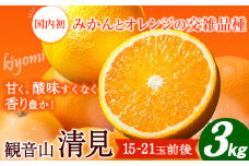 観音山清見 3kg (約15玉-21玉前後) 有限会社柑香園《2026年2月中旬-3月上旬頃出荷》和歌山県 紀の川市 フルーツ 果物 柑橘 みかん オレンジ