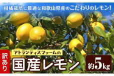訳あり国産レモン 約5kg アトランティスファーム《11月上旬-3月中旬頃出荷》和歌山県 紀の川市 フルーツ 果物 柑橘