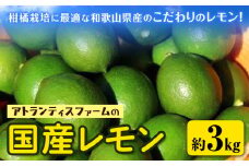 国産レモン 約3kg アトランティスファーム《11月上旬-3月中旬頃出荷》和歌山県 紀の川市 フルーツ 果物 柑橘