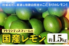 国産レモン 約1.5kg アトランティスファーム《11月上旬-3月中旬頃出荷》和歌山県 紀の川市 フルーツ 果物 柑橘