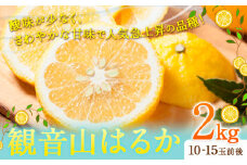 観音山はるか 2kg (約10玉-15玉前後) 有限会社柑香園《2026年2月上旬-2月末頃出荷》和歌山県 紀の川市 フルーツ 果物 柑橘 はるか