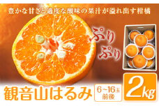 はるみ 観音山はるみ 2kg (約6玉-16玉前後) 有限会社柑香園《2026年2月中旬-2月末頃出荷》和歌山県 紀の川市 フルーツ 果物 柑橘 みかん 春見