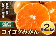 【秀品】冬のみかん コイコク（恋い告） 約2kg ※重量には箱の重量も含まれております※ 黒潮フルーツファーム《2025年11月下旬-12月下旬頃出荷》和歌山県 紀の川市 みかん ミカン 果物 フルーツ 柑橘