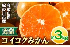 【秀品】冬のみかん コイコク（恋い告） 約3kg ※重量には箱の重量も含まれております※ 黒潮フルーツファーム《2025年11月下旬-12月下旬頃出荷》和歌山県 紀の川市 みかん ミカン 果物 フルーツ 柑橘