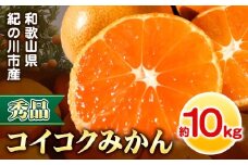 【秀品】冬のみかん コイコク（恋い告） 約10kg※重量には箱の重量も含まれております※ 黒潮フルーツファーム《2025年11月下旬-12月下旬頃出荷》和歌山県 紀の川市 みかん ミカン 果物 フルーツ 柑橘