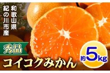 【秀品】冬のみかん コイコク（恋い告） 約5kg ※重量には箱の重量も含まれております※ 黒潮フルーツファーム《2025年11月下旬-12月下旬頃出荷》和歌山県 紀の川市 みかん ミカン 果物 フルーツ 柑橘