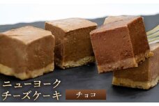 ニューヨーク チーズケーキ チョコ 16個入り (1箱)《30日以内に出荷予定(土日祝除く)》和歌山県 紀の川市 サクセム株式会社 チーズ ケーキ クリームチーズ キューブ