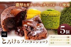 フォンダンショコラ 5個入り (1箱)《30日以内に出荷予定(土日祝除く)》和歌山県 紀の川市 サクセム株式会社 焼き菓子 ショコラ チョコ ホワイトチョコ 抹茶 お菓子