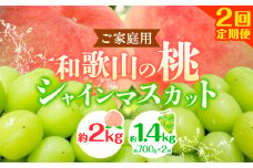 【2回定期便】【ご家庭用 訳あり】和歌山の桃 約2kg (6玉~8玉) 大粒 シャインマスカット 約1.4kg (約700g×2房) m&n果実園 《2026年6月中旬-10月上旬頃出荷》和歌山県 紀の川市 送料無料 桃 旬 果物 フルーツ【配送不可地域あり】