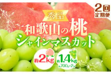 【2回定期便】【贈答用/熨斗非対応】秀品 和歌山の桃 約2kg (6玉~8玉) 大粒 シャインマスカット 約1.4kg (約700g×2房) m&n果実園 《2026年6月中旬-10月上旬頃出荷》和歌山県 紀の川市 送料無料 桃 旬 果物 フルーツ【配送不可地域あり】
