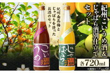 梅酒 紀州こいうめ酒＆じゃばら酒別仕立てセット 720ml×各1本 酒のねごろっく 《90日以内に出荷予定(土日祝除く)》和歌山県 岩出市 酒 梅酒 リキュール 飲み比べ 紀州 こいうめ酒 じゃばら酒別仕立て 　じゃばら　リキュール　のみくらべ　呑み比べ　リキュールのみくらべ　セット　ジャバラ　酸味　苦味　北山村　晩酌　日本酒　清酒　北山村じゃばら　酒セット　酸味　じゃばら　わかやま　地酒　