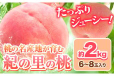 桃 もも 和歌山県産 約2kg 《2025年6月中旬-8月中旬頃出荷》 紀の里の桃 送料無料 6～8玉入り 旬の桃を厳選 モモ 果物 フルーツ お取り寄せ 和歌山 2025年先行予約 送料無料  白鳳 日川白鳳  なつっこ 清水白桃 川中島白桃  八旗白桃 ギフト 果物 くだもの フルーツ お取り寄せ 
