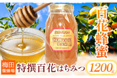 蜂蜜 特撰百花はちみつ 1200g 梅田養蜂場《90日以内に出荷予定(土日祝除く)》和歌山県 岩出市 蜂蜜 はちみつ 百花蜂蜜 1200g