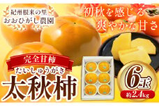  柿 紀州根来の里 完全甘柿 太秋柿 6玉 約2.4kg 化粧箱入 おおひがし農園《10月上旬-11月中旬頃出荷》 和歌山県 岩出市 太秋柿 送料無料 柿 かき カキ 和歌山県産 果物 フルーツ