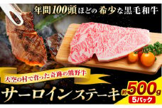 サーロインステーキ 黒毛和牛 牛 牛肉 ステーキ 約500g 約100g×5パック 有限会社松牛《30日以内に出荷予定(土日祝除く)》 和歌山県 岩出市 希少 肉 牛肉 熊野牛 送料無料 サーロイン ステーキ
