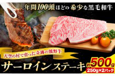 サーロインステーキ 黒毛和牛 牛 牛肉 ステーキ 約500g 約250g×2パック 有限会社松牛《30日以内に出荷予定(土日祝除く)》 和歌山県 岩出市 希少 肉 牛肉 熊野牛 送料無料 サーロイン ステーキ