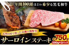 サーロインステーキ 黒毛和牛 牛 牛肉 ステーキ約750g 約250g×3パック 有限会社松牛《30日以内に出荷予定(土日祝除く)》 和歌山県 岩出市 希少 肉 牛肉 熊野牛 送料無料 サーロイン ステーキ