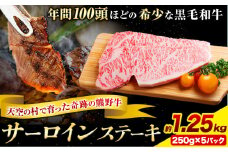 サーロインステーキ 黒毛和牛 牛 牛肉 ステーキ 約1250g 約250g×5パック 有限会社松牛《30日以内に出荷予定(土日祝除く)》 和歌山県 岩出市 希少 肉 牛肉 熊野牛 送料無料 サーロイン ステーキ
