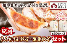 紀州きんとうん餃子 生姜餃子 2種 セット 計60個 ( 30個 入り × 2パック ) きんとうん餃子工房《90日以内に出荷予定(土日祝除く)》 和歌山県 岩出市 餃子 ぎょうざ 惣菜 中華 生姜 冷凍 送料無料