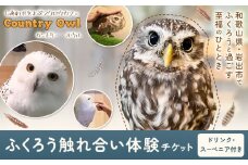 ふくろう触れ合い体験 (ドリンク スーベニア付き) カントリーオウル フクロウカフェ《30日以内に出荷予定(土日祝除く)》和歌山県 岩出市 ふくろう 体験 フクロウ ふれあい体験 チケット 送料無料