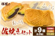 佐焼きセット 8個 佐焼き《30日以内に出荷予定(土日祝除く)》和歌山県 岩出市 たいやき 鯛焼き たい焼き 冷凍 佐焼き こしあん つぶあん カスタード チーズ 送料無料　x-1