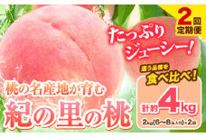 桃 和歌山県産 紀の里の桃【2回定期便】約2kg×2回 定期《2025年6月中旬-8月中旬頃出荷》 2025年 先行予約 紀の里の桃 白鳳 日川白鳳 なつっこ 清水白桃 川中島白桃 八旗白桃 和歌山 もも