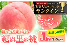 桃 ☆人気ランキング ランクイン ☆和歌山県産 紀の里の桃 約1kg (3-5玉)《2025年6月中旬-8月中旬頃出荷》 2025年 先行予約 紀の里の桃 白鳳 日川白鳳 なつっこ 清水白桃 川中島白桃 八旗白桃 和歌山 もも 一万円以下 10,000円以下