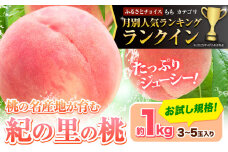 桃 ☆人気ランキング ランクイン ☆和歌山県産 紀の里の桃 約1kg (3-5玉)《2026年6月中旬-8月中旬頃出荷》 2026年 先行予約 紀の里の桃 白鳳 日川白鳳 なつっこ 清水白桃 川中島白桃 八旗白桃 和歌山 もも 一万円以下 10,000円以下