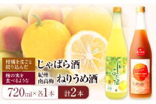 梅酒 「紀州完熟南高梅・ねりうめ酒」と「じゃばら酒」各720ml 酒のねごろっく 《30日以内に出荷予定(土日祝除く)》和歌山県 岩出市 酒 梅酒 果実酒 送料無料 飲み比べ 1440ml 吉村秀雄商店