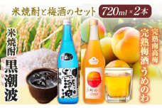 焼酎 焼酎黒潮波 完熟南高梅うめのわ 完熟梅酒 720ml 2本セット 酒のねごろっく《30日以内に出荷予定(土日祝除く)》和歌山県 岩出市 吉村秀雄商店 日本酒 純米本格米焼酎 酒 お酒 サケ さけ 米焼酎 焼酎 梅酒 南高梅 1440ml 送料無料