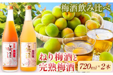 梅酒 紀州完熟南高梅 濃厚 ねり梅酒と芳醇 完熟梅酒 720ml×各1本 酒のねごろっく《30日以内に出荷予定(土日祝除く)》和歌山県 岩出市 吉村秀雄商店 酒 梅酒 飲み比べ 紀州 ねり梅酒 完熟梅酒 南高梅 720ml 1440ml 送料無料