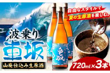 日本酒【先行予約】車坂 山廃仕込み 生原酒 720mL x 3本《2025年6月上旬-11月中旬頃出荷(土日祝除く)》酒のねごろっく ギフト 和歌山県 岩出市 日本酒 お酒 酒 原酒 18度 冷蔵 波乗り