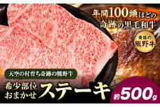 熊野牛 希少部位おまかせステーキ 約500g  有限会社松牛《30日以内に出荷予定(土日祝除く)》 和歌山県 岩出市 希少 肉 牛肉 熊野牛 送料無料 ステーキ 希少部位 x-1