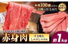 熊野牛 赤身すき焼きしゃぶしゃぶ用 約1kg 有限会社松牛《30日以内に出荷予定(土日祝除く)》 和歌山県 岩出市 希少 肉 牛肉 熊野牛 送料無料 赤身 すき焼き しゃぶしゃぶ x-1